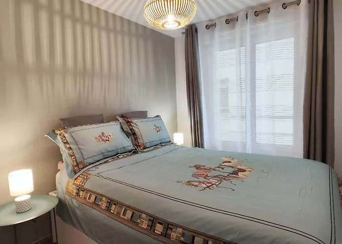 Superbe Cosy Duplex Appartement T3 Charpenne Tete D\'Or Avec Parking Prive Gratuit