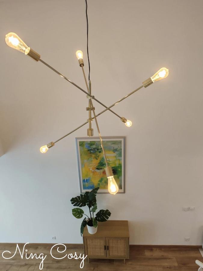 Apartment Superbe Cosy Duplex T3 Charpenne Tete D'or Avec Parking Prive Gratuit *