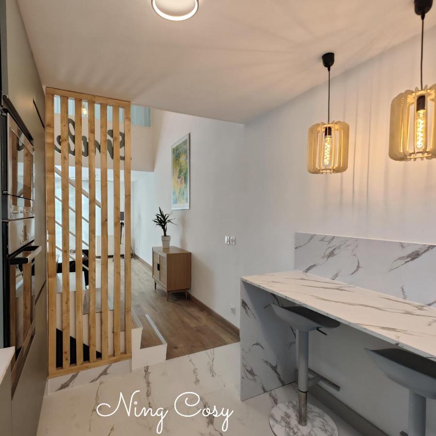 Superbe Cosy Duplex T3 Charpenne Tete D'or Avec Parking Prive Gratuit Apartment Villeurbanne