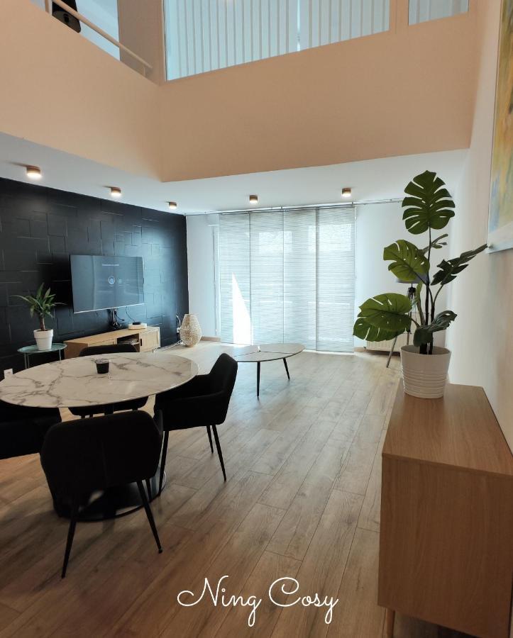 Apartment Superbe Cosy Duplex T3 Charpenne Tete D'or Avec Parking Prive Gratuit *
