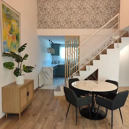 Superbe Cosy Duplex Appartement T3 Charpenne Tete D'Or Avec Parking Prive Gratuit Villeurbanne Exterior photo