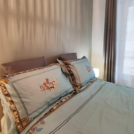 Superbe Cosy Duplex Appartement T3 Charpenne Tete D'Or Avec Parking Prive Gratuit Villeurbanne Exterior photo