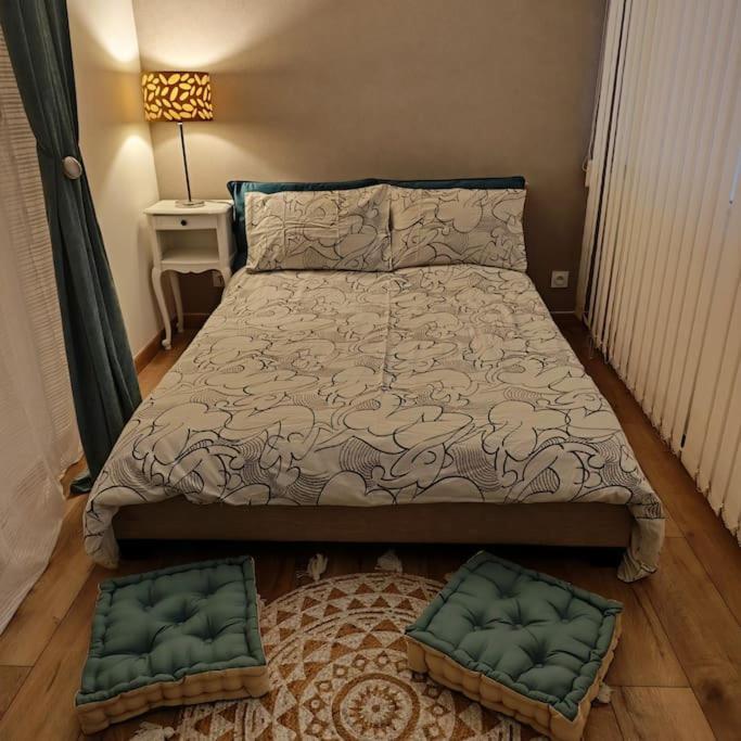 Superbe Cosy Duplex T3 Charpenne Tete D'or Avec Parking Prive Gratuit Villeurbanne